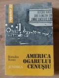 America ogarului cenusiu- Romulus Rusan