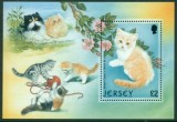 JERSEY 2002 FAUNA ANIMALE DOMESTICE PISICI, Nestampilat
