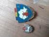 Insigne Pionieri CTA mare (stema sa se vada dimensiunea)