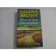Drumul spre necunoscut - SANDRA BROWN
