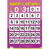 Plansa Numerele naturale de la 0 la 31 - DPH