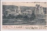 Carte postala circulata in jurul anului 1900 Curtea de Arges