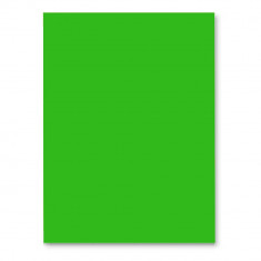 Hartie Cartonata FAVINI, Verde, 50x70 cm, 20 Coli/Top, 220 g/m², Carton Colorat, Carton Colorat 50x70, Hartie Cartonata Colorata, Hartie 50x70 Colorat