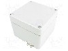 Carcasa aluminiu, 100mmx100mmx81mm, IP66, RAYCHEM RPG - EX RJ09
