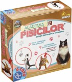 Academia pisicilor, D-Toys S.A.