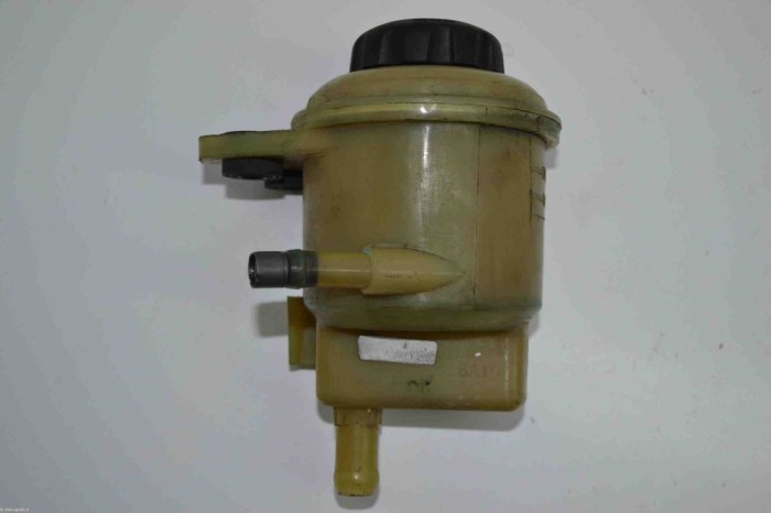 Rezervor pompa servodirecție CHEVROLET CAPTIVA C100, C140 2007