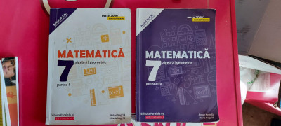 MATEMATICA ALGEBRA GEOMETRIE CLASA A VII A ANTON NEGRILA 2 VOLUME foto