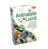 Joc Tactic Animalele lumii