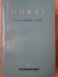 UNIVERSITATILE MELE-MAXIM GORKI