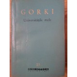 UNIVERSITATILE MELE-MAXIM GORKI-233116