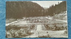 489 - Slanic Moldova - Vedere din parc - carte postala necirculata