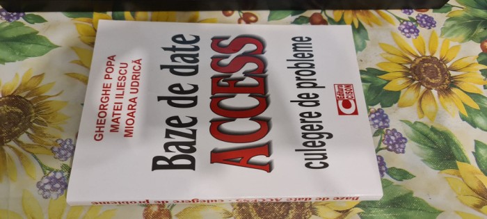 Gheorghe Popa Baze de date acces culegere de probleme