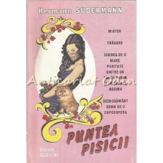 Puntea Pisicii - Hermann Sudermann
