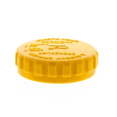 Buson vas expansiune antigel Ford - Compatibilitate Focus, Fiesta V, Fusion, Ka, Transit Connect foto