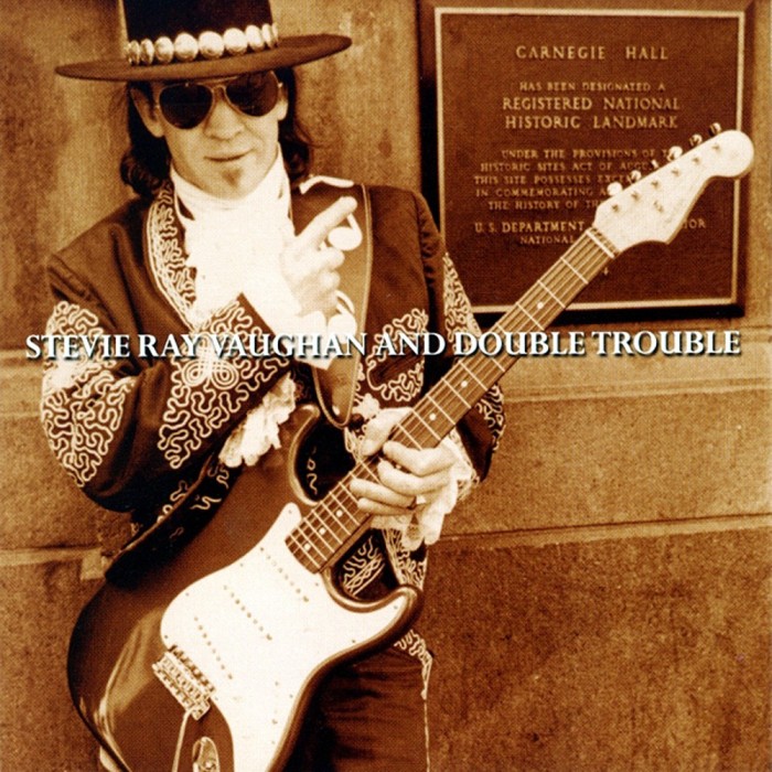 Stevie Ray Vaughan Double Trouble Live At Carnegie Hall (cd)