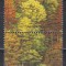 Natiunile Unite Viena 1988 - Salvați Pădurea, Cota 10 EURO, MNH