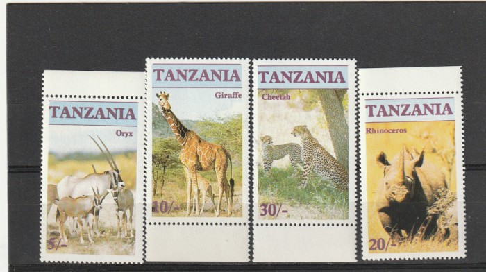 Fauna africana,Tanzania .