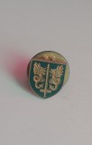 QW9 N2 26 - insigna - heraldica - grifoni si spada, Europa