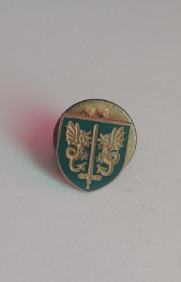 QW9 N2 26 - insigna - heraldica - grifoni si spada foto