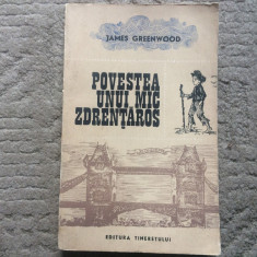 Povestea unui mic Zdrentaros James Greenwood povesti Ed. Tineretului 1967 RSR