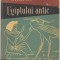 M. E. Matie - Miturile Egiptului Antic