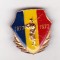 bnk ins Insigna Centenarul Independentei 1877 1977