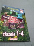 Cumpara ieftin SINTEZE CULTURA GENERALA CLASELE 1-4 VASILICA GHEORGHE