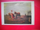 HOPCT 23661 PE CAMP-ALEXEI VENETIANOV 1780-1847 -- RUSIA --MUZEE - CP PICTURA --NECIRCULATAMUNTII