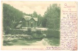 SV * Salutari din Slanic Moldova * ISVORUL IV, BAI MINERALE RECI * 1903, Circulata, Printata, Fotografie