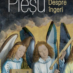 Despre îngeri - Hardcover - Andrei Pleșu - Humanitas