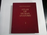 ATLAS OF HUMAN ANATOMY vol. I ( 1 ) - SINELNIKOV ( in limba engleza )