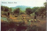 AD 1114 C. P. VECHE -BETHLEHEM, SHEPHERD&#039;S FIELD -IERUSALIM -ISRAEL