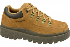 Incaltaminte trekking Skechers Shindigs-Stompin 48582-TAN pentru Femei foto