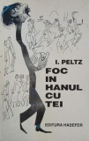 Foc in hanul cu tei - I. Peltz