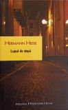 LUPUL DE STEPA-HERMANN HESSE-348965