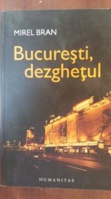 Bucurestiul, dezghetul- Mirel Bran foto