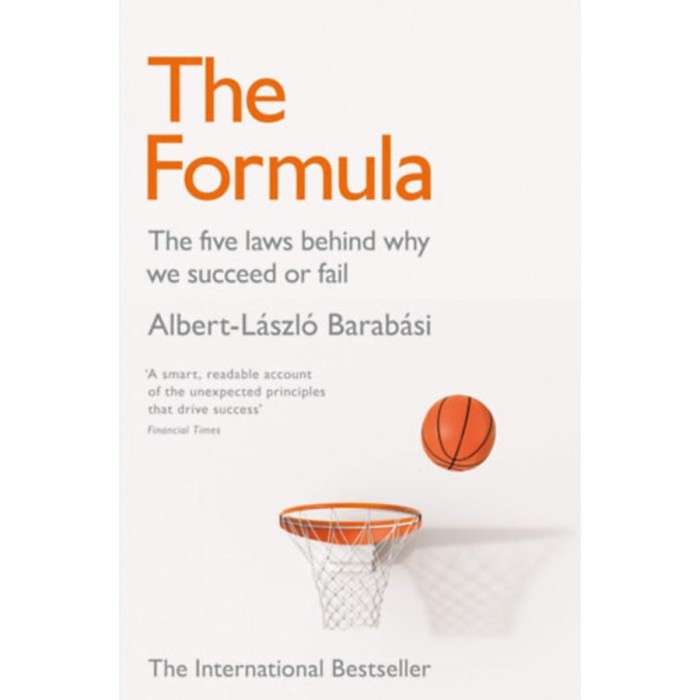 The Formula - Barab&aacute;si Albert-L&aacute;szl&oacute;
