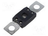 Siguranță auto 250A 32-72V DC 68,1mm GLOSO