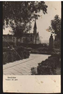 CPIB 21183 CARTE POSTALA - TARNAVENI. VEDERE DIN PARC, RPR foto
