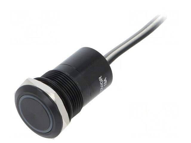 Comutator Capacitiv ON/OFF 12V IP68