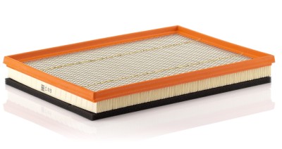 MANN-FILTER C 4019 Filtru aer foto