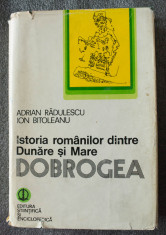 Adrian Radulescu; Ion Bitoleanu - Dobrogea: istoria romanilor dintre Dunare ?i.. foto