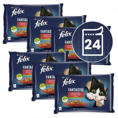 FELIX Fantastic pliculețe, selecție delicioasă cu legume în gelatină 24 x 85 g