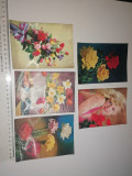 LOT 5 VEDERI 3D