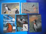HOPCT LOT NR 398 PASARI -FAUNA-5 CARTI POSTALE-NECIRCULATE, Circulata, Printata