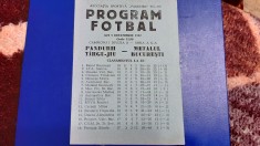 program Pandurii Tg. Jiu - Metalul Buc.