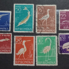 Romania 1957 Lp 448 fauna din Delta Dunării serie stampilat