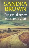 Sandra Brown - Drumul spre necunoscut f1
