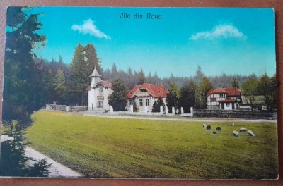 Carte postala, vile din Noua, 1925 foto