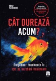 Cat dureaza acum - Frank Swain